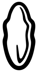 Leaf and leaves, floral, plant, nature, illustration