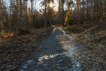 Long mountain trail at small massif with beautiful views around at morning