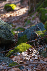 Fototapeta premium Few small and giant rock formations next to mountain trail at sunny day at winter