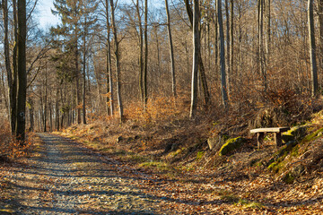 Long mountain trail at small massif with beautiful views around at morning