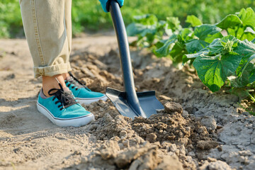 Close-up of legs with a shovel digging the ground