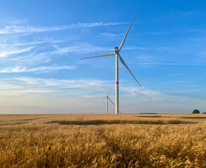 Wind turbines against the backdrop of sunset over a wheat field