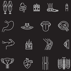 organs of the body icons collection 