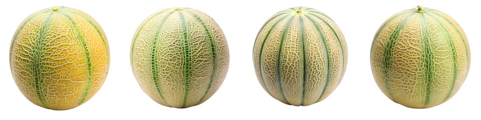 Melon fruit isolated on transparent background PNG file