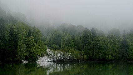 Beautiful green lake landscape with misty trees in autumn	
