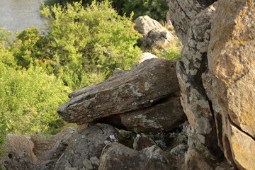 Summer landscape with rocks and trees