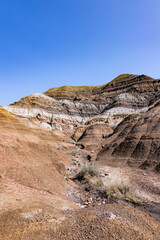 Badlands near Drumheller, Dinosaur capital of the world. Land of hoodoos, multi-hued canyons and land formations sculptured by water and wind