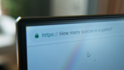 Close-up shot of a computer monitor displaying a web browser with search query "how many ounces in a gallon?" in address bar.	
