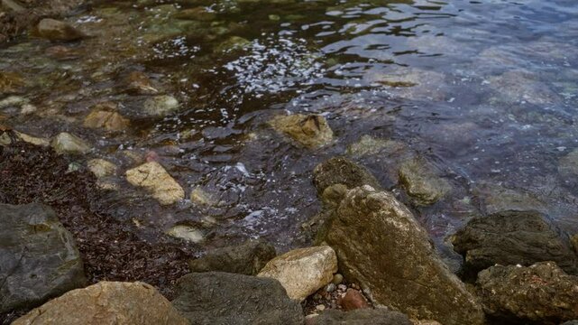 Rocky shoreline with clear shallow water and seaweed, displaying natural coastal scenery and textures in an outdoor setting