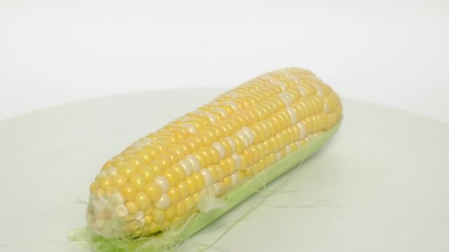 A vivid depiction of a justpicked corn cob, showcasing its freshness and golden kernels