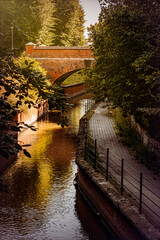 Old brick gothic bridge over the canal and autumn trees 