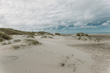 Moving sand dune Rabjerg Mile in northern Jytland, Denmark, Europe