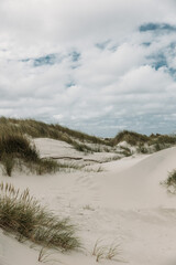 Moving sand dune Rabjerg Mile in northern Jytland, Denmark, Europe