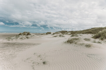 Moving sand dune Rabjerg Mile in northern Jytland, Denmark, Europe