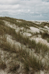 Moving sand dune Rabjerg Mile in northern Jytland, Denmark, Europe
