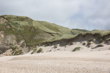 Marram grass at the beautiful beach near the coastline of the blue sea in northern Denmark.