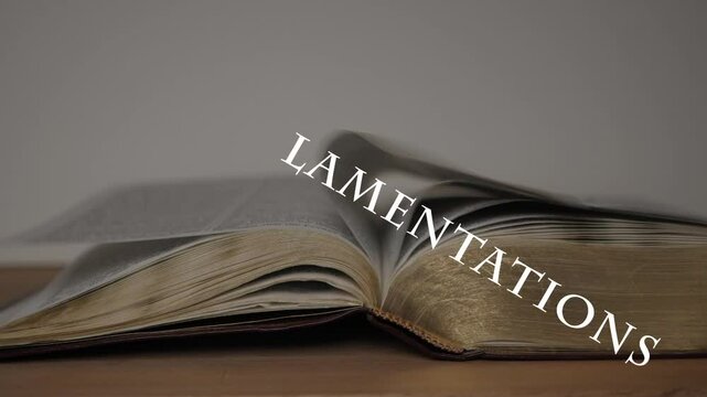 All the books of the Bible while its pages flip in the background