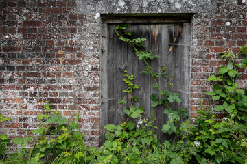 Overgrown Door