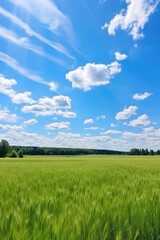 Sunny season backdrop: vibrant summer background perfect for banner and copy space, capturing the essence of warm day, blue skies, and blooming nature