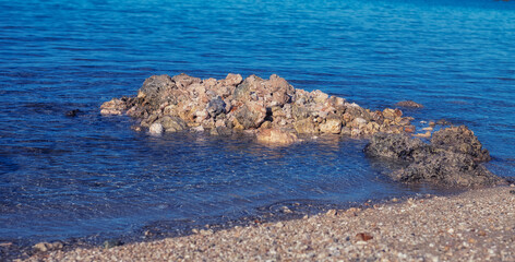 Rocks, Coral, and Shells  Along a Tropical Shoreline.