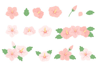 Vector illustration of Korean flower Rose of Sharon.