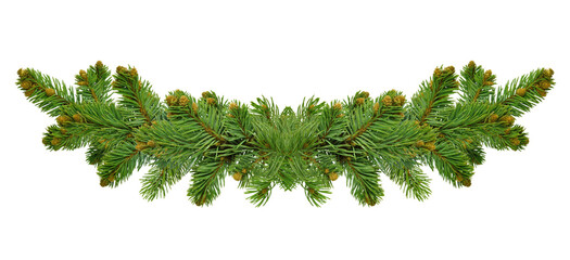 Wide Christmas garland from fir branches. Garland,wreath of pine branches with cones. flyers,...