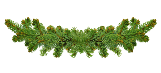 Wide Christmas garland from fir branches. Garland,wreath of pine branches with cones. flyers, posters, headers, transparent, png