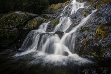 New Zealand waterfall landscape