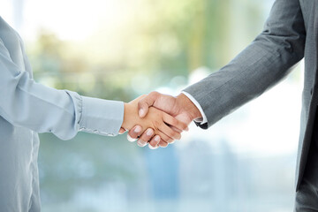 Introduction, business people and handshake in office for job interview, recruitment or hiring...