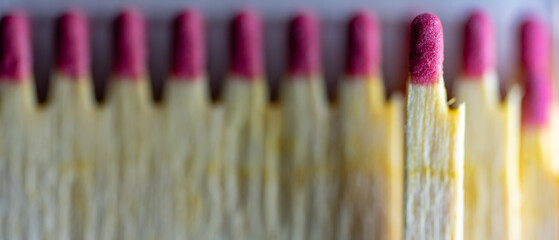 Set of wooden matchsticks with red explosive together and lined up. one of the highlighted sticks...