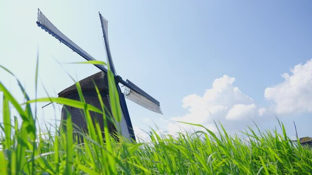 Low angle of tall grass rapidly swaying in the breeze with a windmill, against a blue sky with clouds, on a sunny spring day