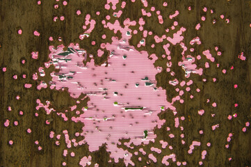 Old practice shooting target, damaged gun, bullet traces