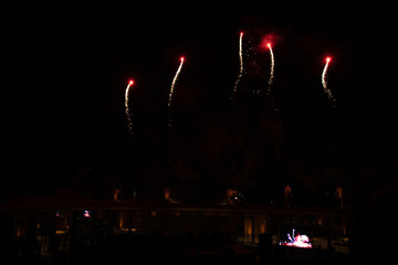 Fuegos artificiales de colores en el cielo de noche durante una celebración