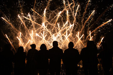 Siluetas de personas viendo fuegos artificiales de colores en el cielo de noche