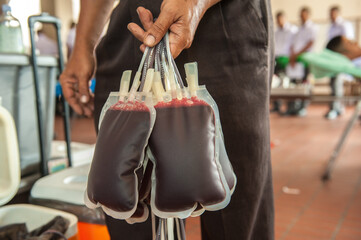 Blood donation storage bags