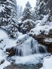 beautiful waterfall with big tree, Snap by slow speed shutter, snow season