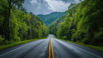 Fototapeta premium Journey down a scenic highway towards the Great Smoky Mountains National Park, Tennessee, surrounded by lush, green landscapes