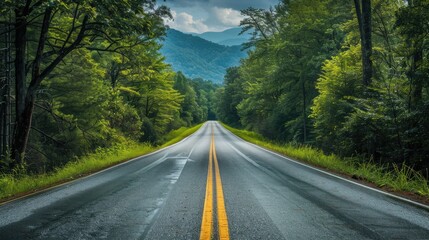 Fototapeta premium Long, picturesque road leading to the Great Smoky Mountains National Park, Tennessee, with a view of lush trees and mountain peaks