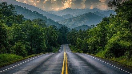 Long road leading to the Great Smoky Mountains National Park, Tennessee, with lush forest on either side and distant mountain scenery
