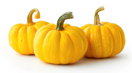 Obraz premium Yellow pumpkins on white background for Halloween and Thanksgiving