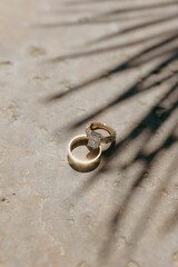 Close-up of two gold wedding rings on a textured surface with shadows from palm leaves.