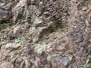 rock surface