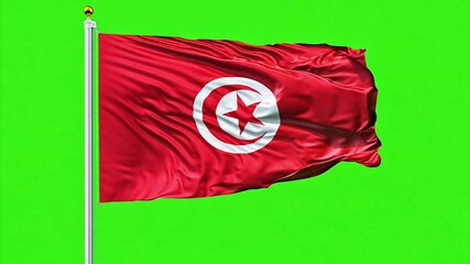Tunisia national flag waving in the wind in slow motion against a chroma key green screen.