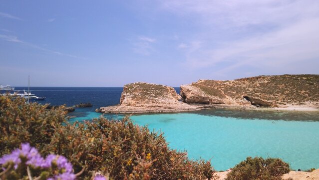 Blue lagoon, revealing shot from behind purple flowers - Mediterraniean Thyme. High quality photo
