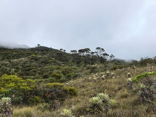 Paramo city