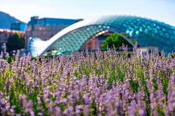  The Bridge of Peace over the Kura River in Tbilisi, Georgia. © EnginKorkmaz