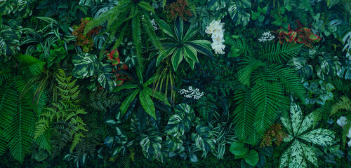 Full Frame of Green Leaves Pattern Background, Nature Lush Foliage Leaf Texture, tropical leaf.