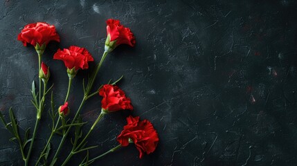 Red Carnations Dark Background Flat