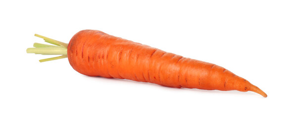One fresh ripe carrot isolated on white
