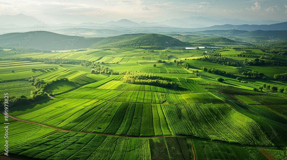 Poster aerial view of a vast agricultural farm with neatly arranged crop fields and irrigation systems gene